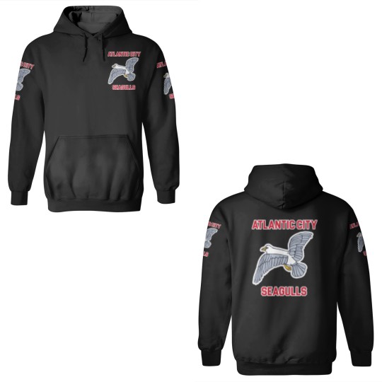 Discover Atlantic City Seagulls )( Retro Throwback Basketball Team - Atlantic City - 3D Hoodies