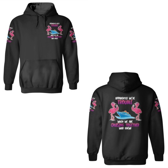 Discover Apparently we are trouble Flamingo Cruise ship 3D Hoodies