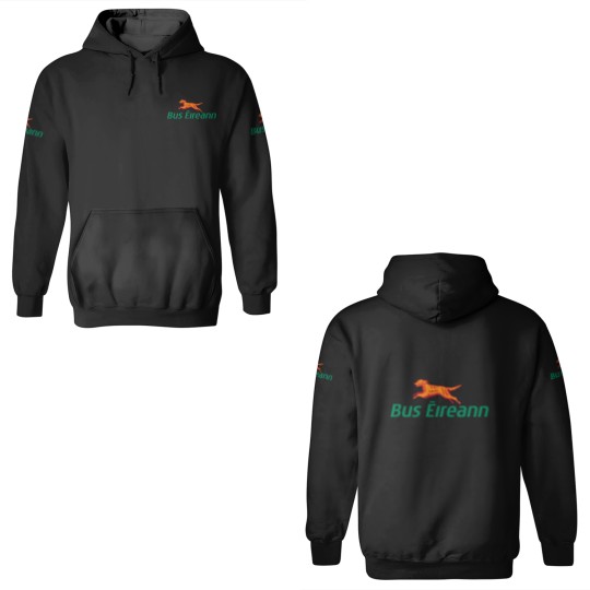 Discover Irish Bus Eireann logo 3D Hoodies