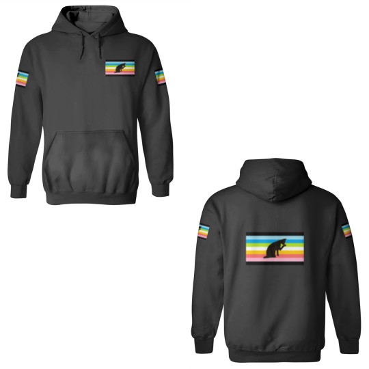Discover Queer Pride knivesss In Their Feet Flag classique 3D Hoodies