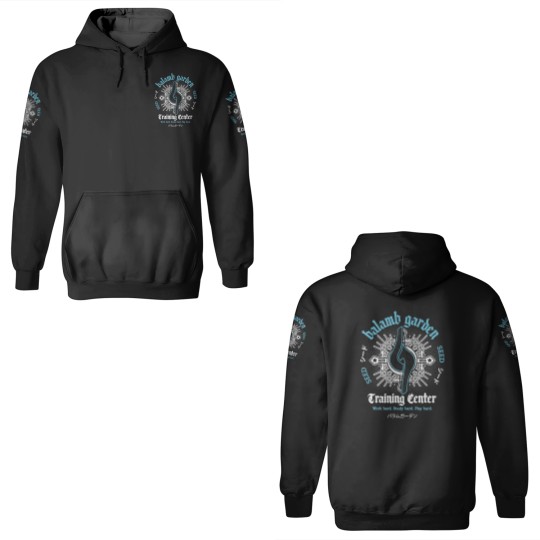 Discover Balamb Garden Training Center Emblem 3D Hoodies