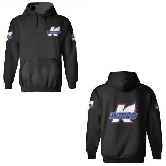 Discover Wings-Kalamazoo 3D Hoodies
