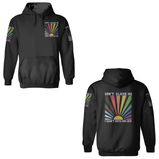 Discover Dont blame me I didnt vote for him rainbow 3D Hoodies