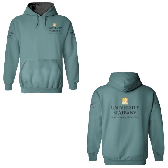 Discover University at Albany of american university 3D Hoodies
