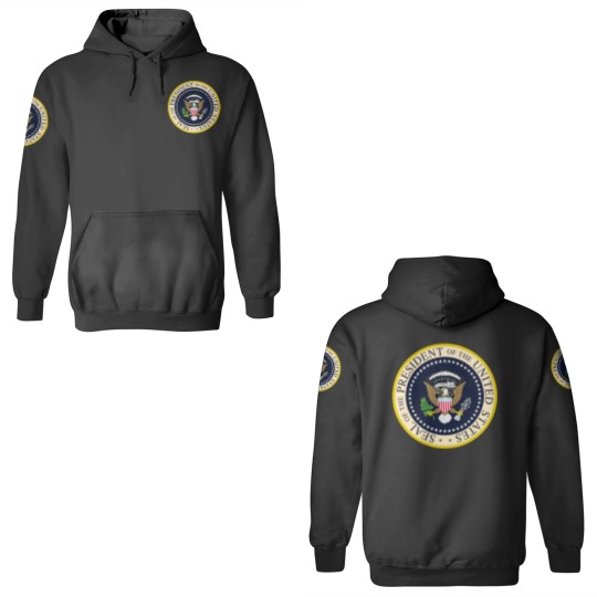 Discover Presidential Seal 3D Hoodies