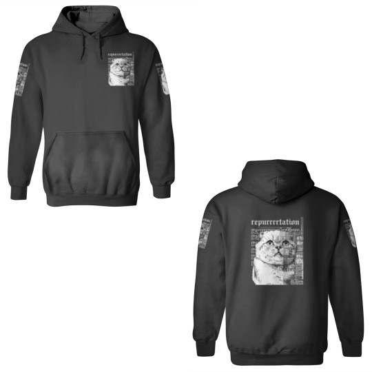Discover Vintage Reputation Cat 3D Hoodies, Reputation Karma 3D Hoodies