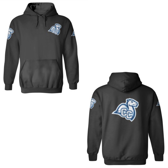 Discover Connecticut College camel athletics gifts souvenirs 3D Hoodies