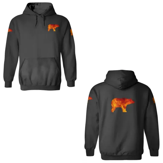 Discover bear burning 3D Hoodies