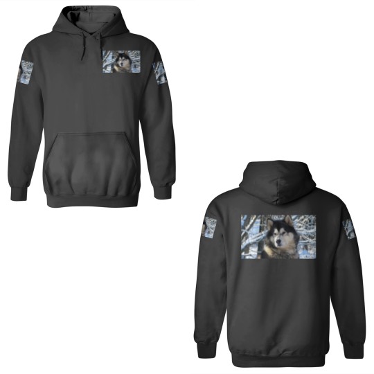 Discover Loup's first snowfall 2012 3D Hoodies