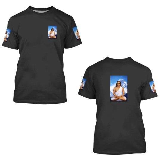 Discover Mahavatar Babaji In Lotus Posture In Himalayas 904 3D T Shirts
