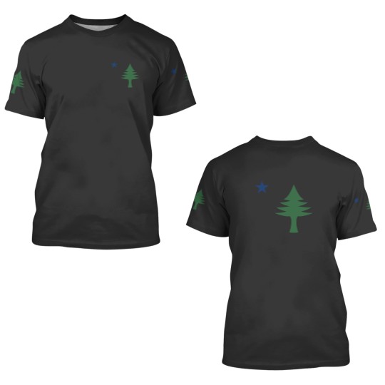 Discover Maine 1901 Original Tree and Star Flag Active 3D T Shirts