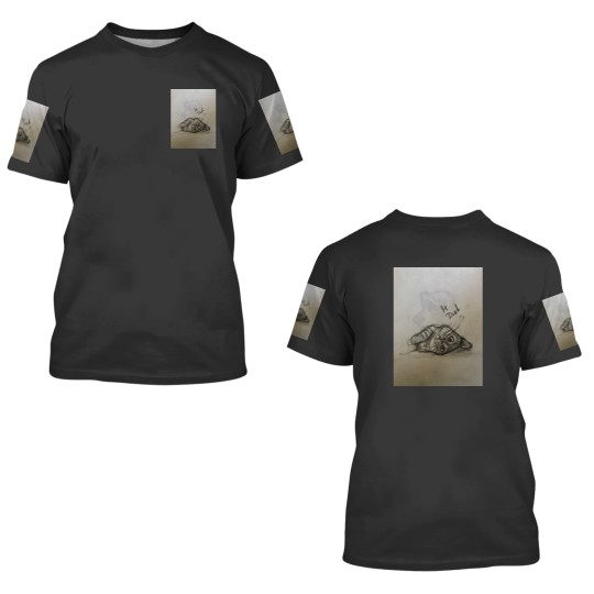 Discover Cat Refugee 3D T Shirts