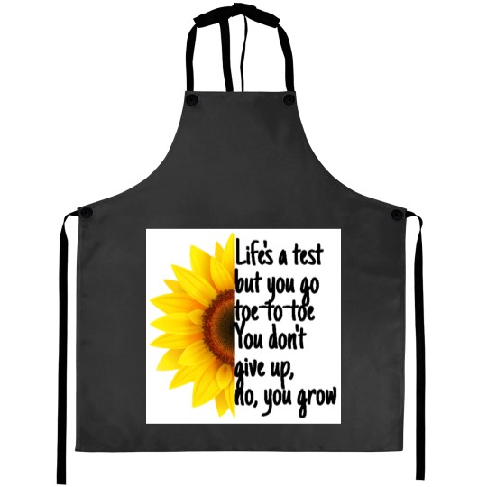 Discover Lifes a test Aprons