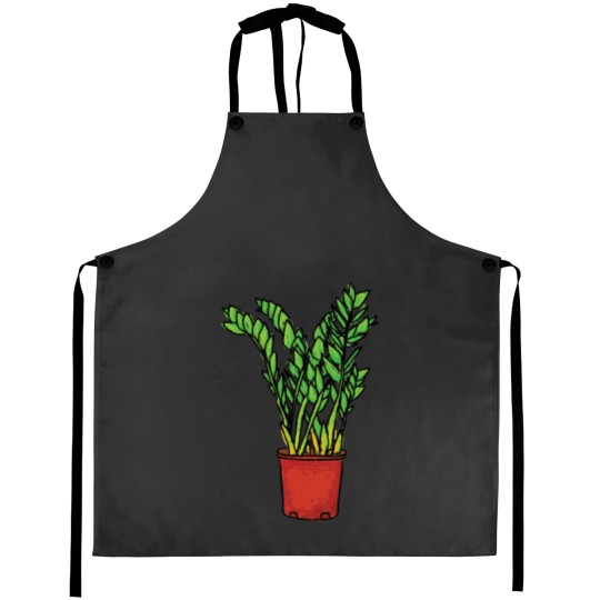 Discover ZZ Gem Zanibar Gem Plant Aprons