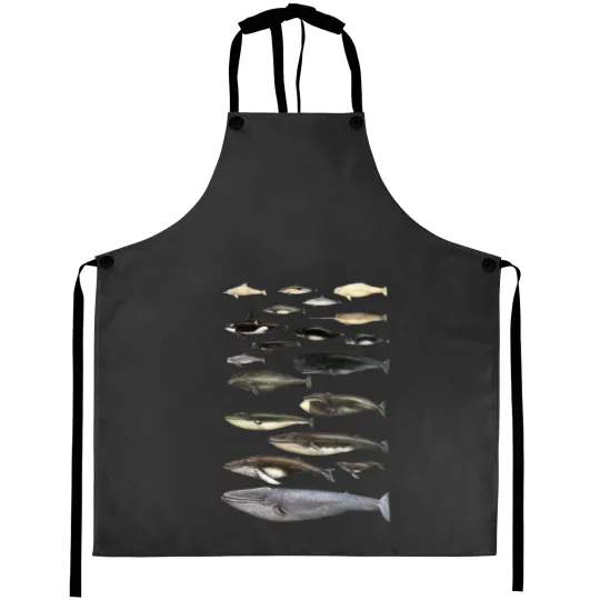 Discover Whale Chart Aprons