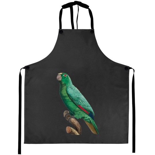 Discover Cute Bird 2 jimmy buffett to p sellin g widodo ganteng transparent Aprons