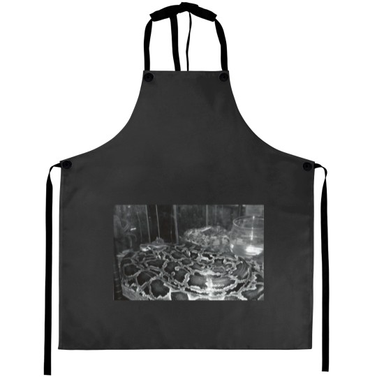 Discover vintage enlarger Baseball ¾ Sleeve Aprons