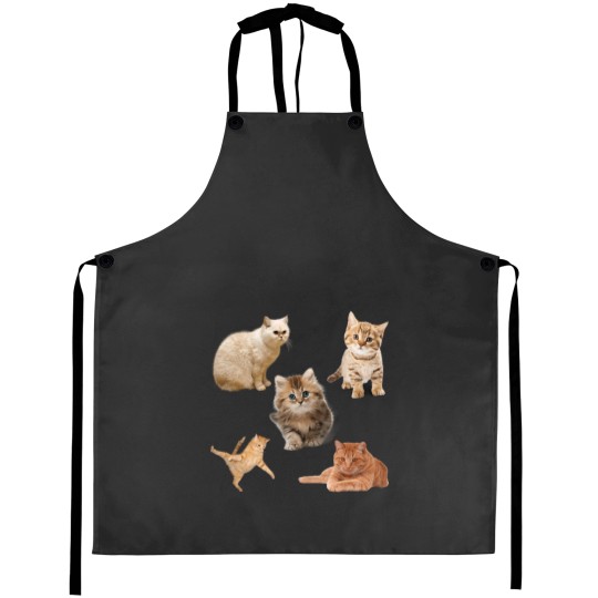 Discover Cats Bundle Aprons