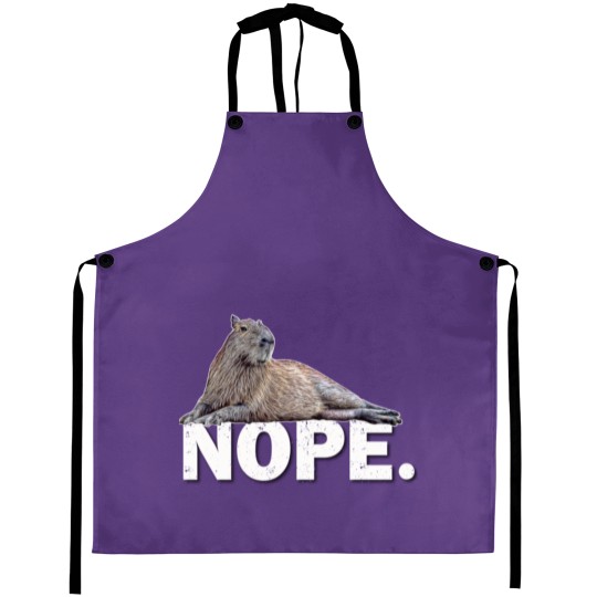 Discover Capybar a Aprons
