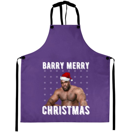 Discover Barry Merry Christmas Aprons