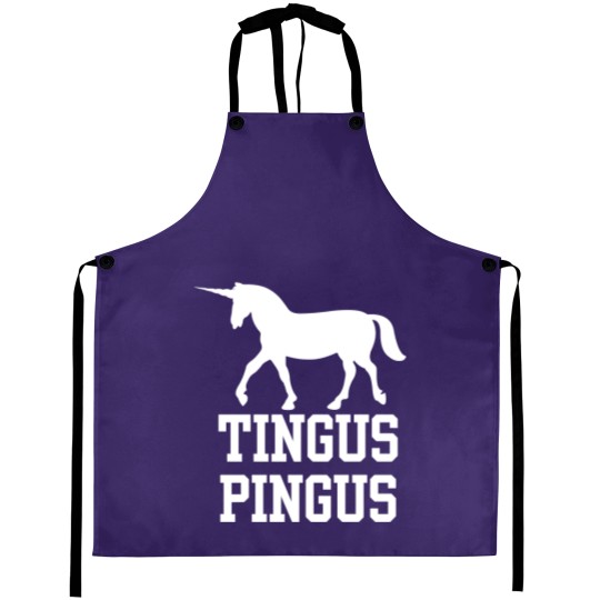 Discover Boston Basketball Fan Tingus Pingus Unicorn Aprons