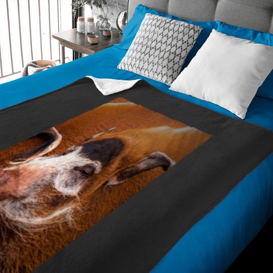 Discover Zoology - Red River Hog Baby Blankets