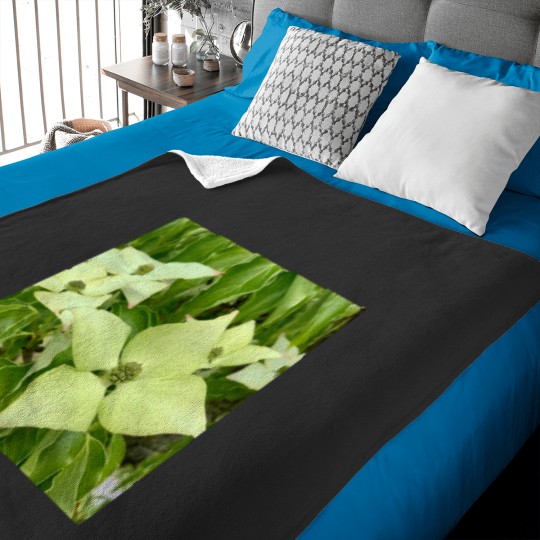 Discover White Truffle(1) Baby Blankets