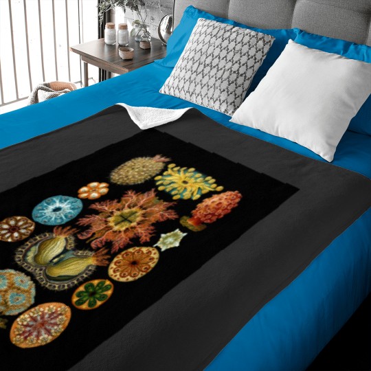 Discover Ernst Haeckel - Scientific Illustration - Ascidiae Baby Blankets