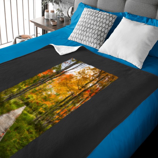 Discover Jesup Path 3212 Baby Blankets