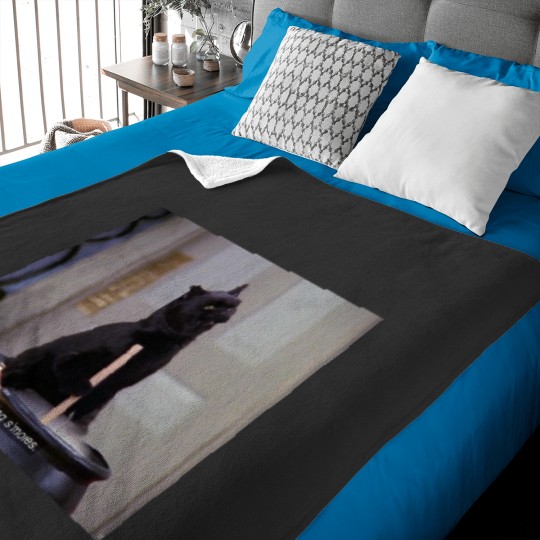 Discover Salem the Cat - “Making S’mores” Baby Blankets