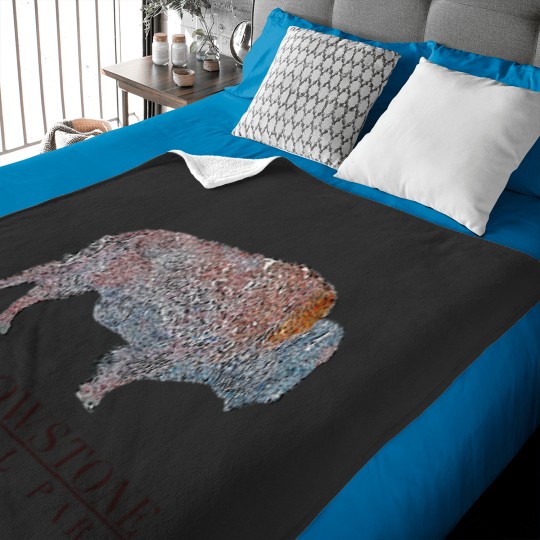 Discover YStone National Park benefit art donating 100 of the profit to national parks in the United S LionsCity Baby Blankets