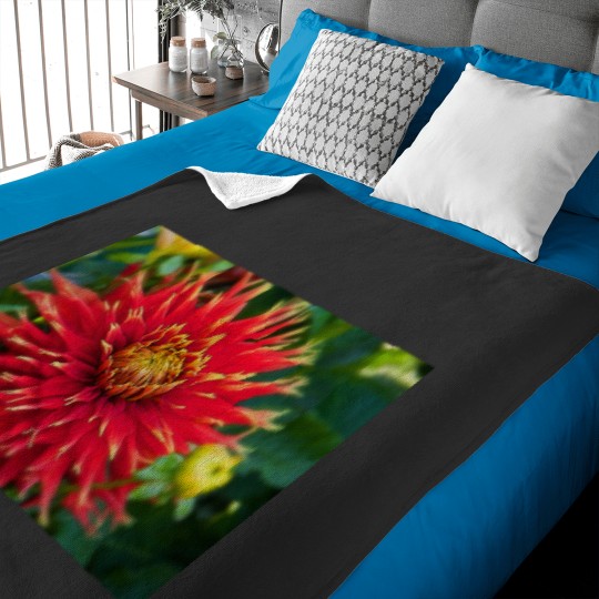Discover Canada. Vancouver Island. Butchart Gardens. Flower. Baby Blankets