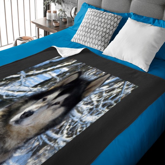 Discover Loup's first snowfall 2012 Baby Blankets