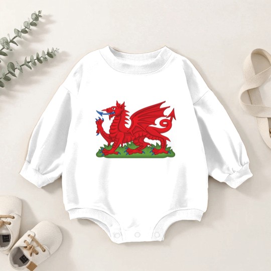 Discover Wales Red Dragon National Flag Symbol Baby Romper Sweatshirts