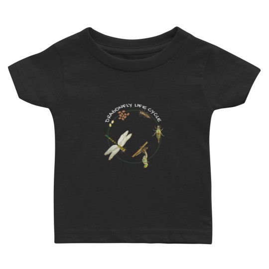 Discover Dragonfly Life Cycle Facts 3 Stages Insect Development Baby T Shirts