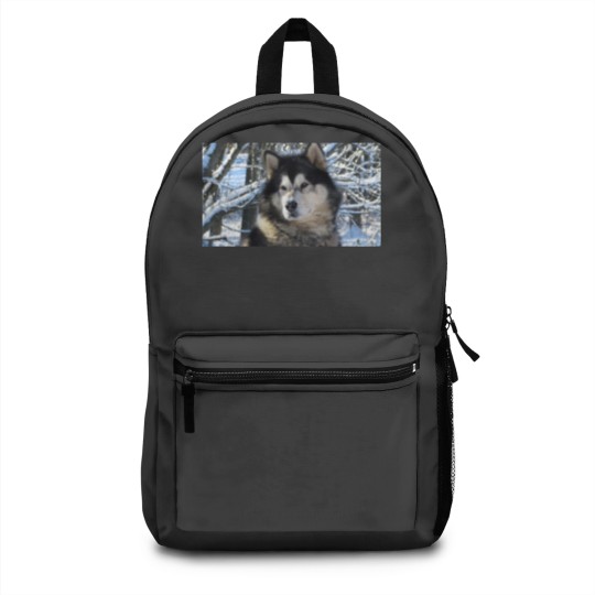 Discover Loup's first snowfall 2012 Backpacks