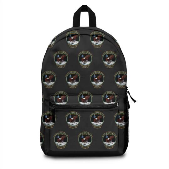 Discover NASA Apollo 11 Flight Patch The Eagle has landed Backpacks