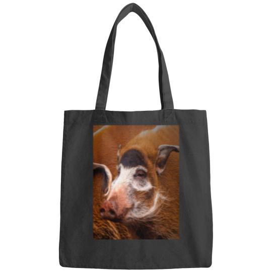Discover Zoology - Red River Hog Bags