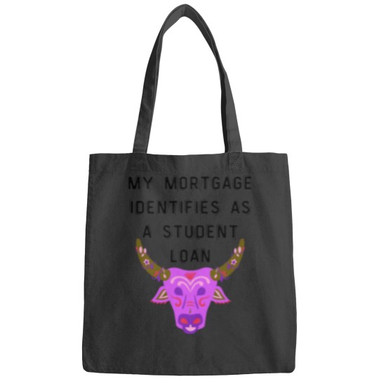 Discover My Mortgage Identifies As A Student Loan Bags