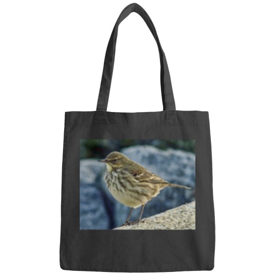 Discover The Finnmarken at Dusk in Tromso Bags
