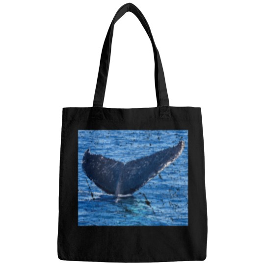 Discover Whales tail Hervey Bay Bags