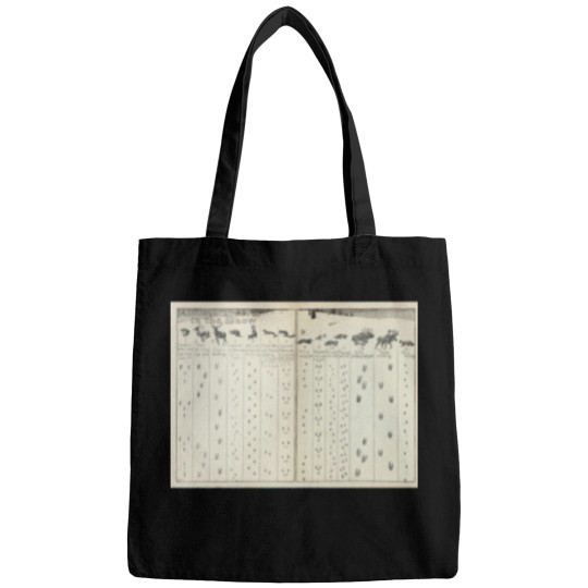 Discover Vintage Animal Tracks in the Snow Diagram (1912) Active T-Shirt Bags
