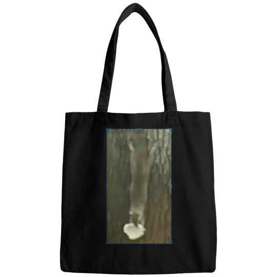 Discover Funny squirrel with nut Bags