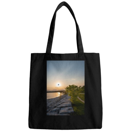 Discover bird flies in front of the sunset Bags