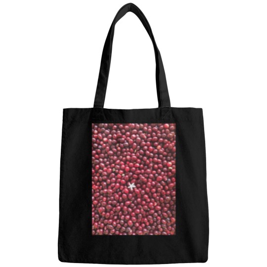 Discover Red Beans 4741 Bags