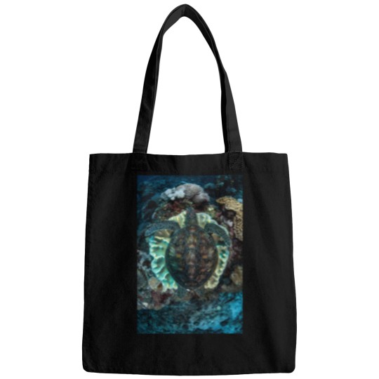 Discover Green Turtle Resting Bags