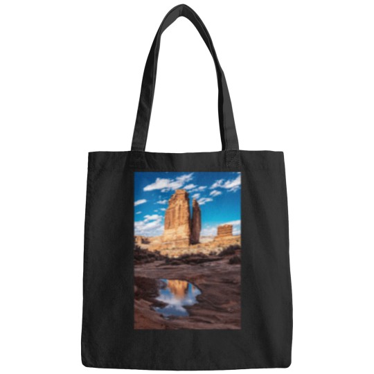 Discover reflections Bags
