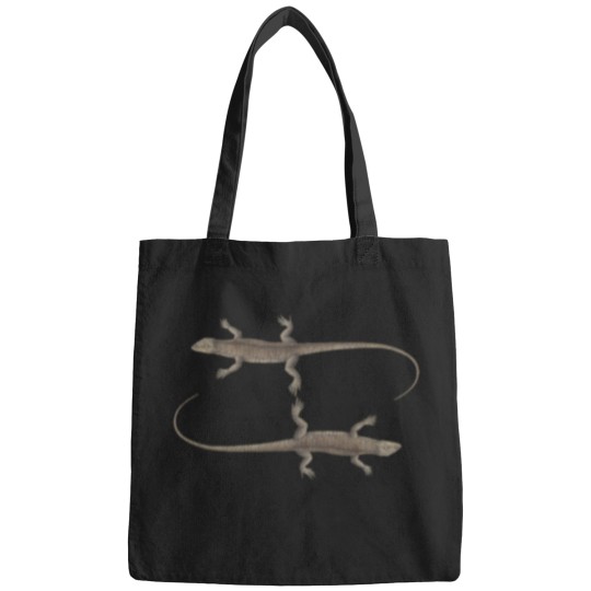 Discover Two Salamander 2800 Bags