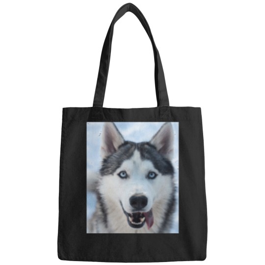 Discover funnys Looking Siberian Husky dogs Classic Bags