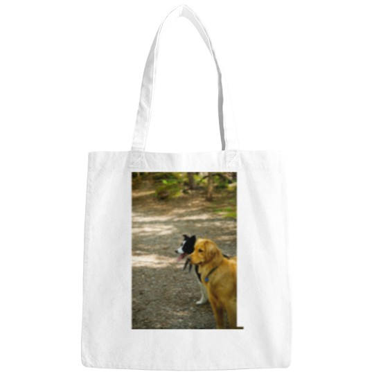 Discover Attention Span -1 Bags